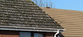 Gutter and roof cleaning in Sittingbourne and Faversham